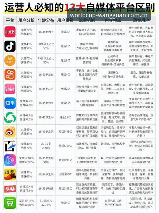 从用户评价看网冠平台的5大核心优势，世界杯买球平台选它值不值？