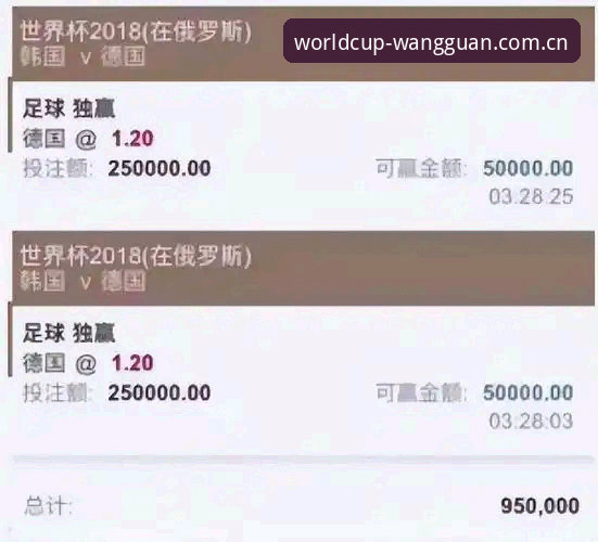 世界杯买球平台选择困难？网冠登录 vs 普通平台：谁更值得信赖？